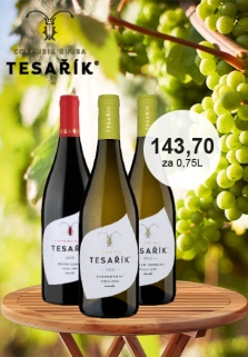 KVĚTEN 2025 - Tesařík