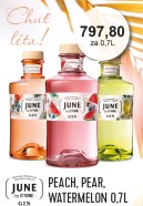 KVeTEN 2025  Gin June